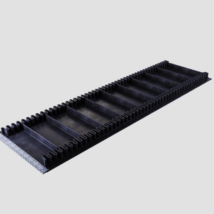 Straight Sidewall Belts in Pune